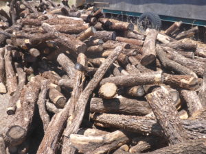 Incredible Buddha Wood