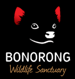 Bonorong Wildlife Sanctuary