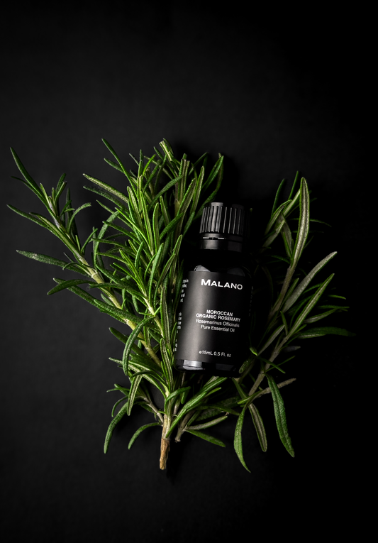 Rosemary for Improved Cognitive Function, Hair Growth & Overall Wellness